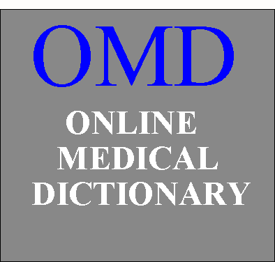 medical dictionary free download for pc