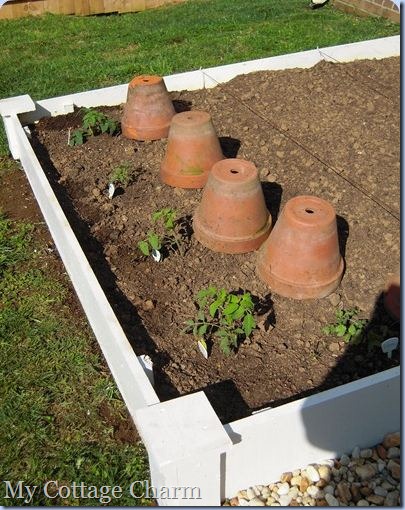 raised plant beds