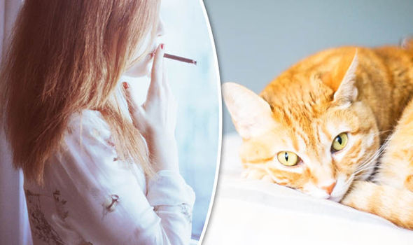 Smoking at home puts your pets at risk of CANCER and WEIGHT GAIN, scientists warn