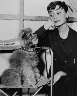 Las mascotas de Audrey Hepburn