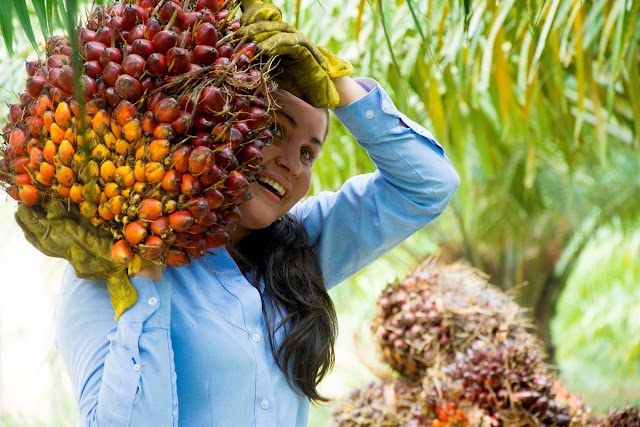 Fedepalma sigue destacando rol femenino en la palmicultura: Premio Mujer Palmera 2021 abre postulaciones con nuevas categorías y más impulso al emprendimiento