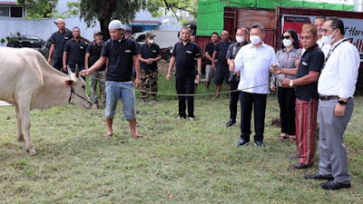 Idul Adha, Bank SulutGo serahkan 62 Ekor Sapi untuk dibagikan di Sulawesi Utara dan Gorontalo
