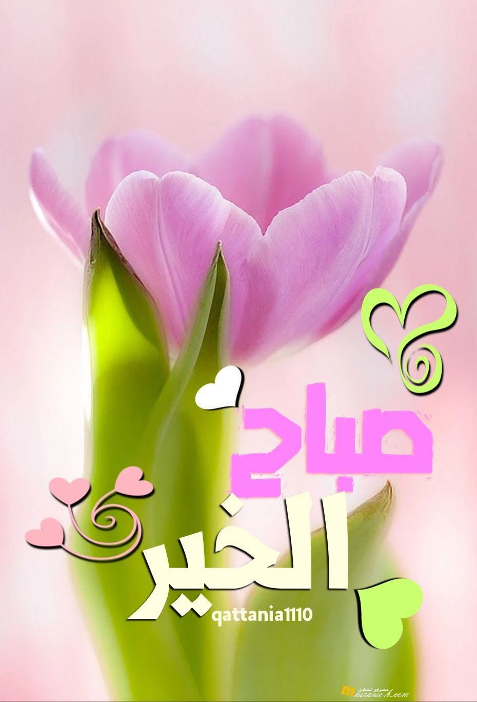 صورصباح الخير جديدة 2024