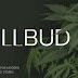 Best 8+ Niche Medical Marijuana and Cannabis WordPress Theme  