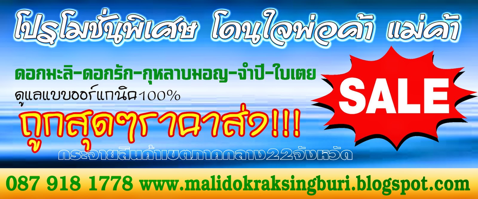 http://www.malidokraksingburi.blogspot.com