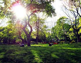 Tompkins Square Park 13 May 2013