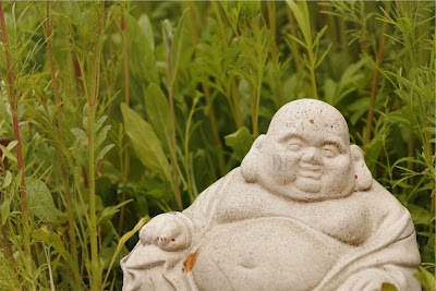 Buddha in the grass