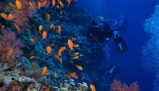 Scuba diving destinations and sites