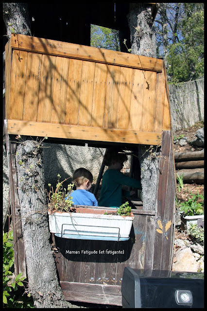 cabane dans arbre