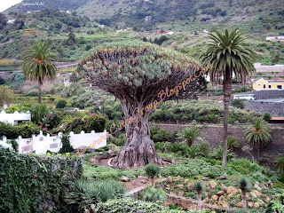 CANARY ISLANDS ( IN SPANISH) "Spain"