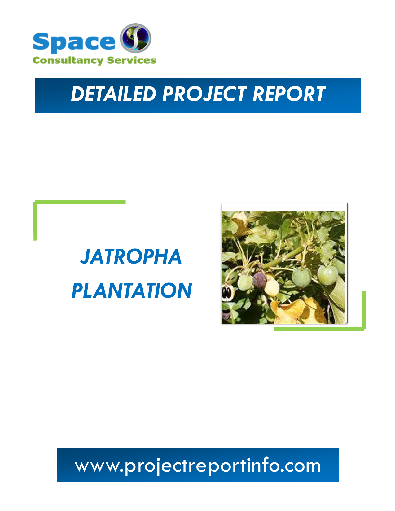 Project Report on Jatropha Plantation