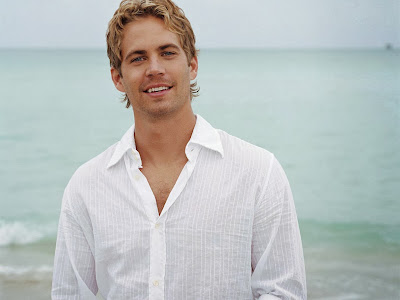 Paul Walker 2013