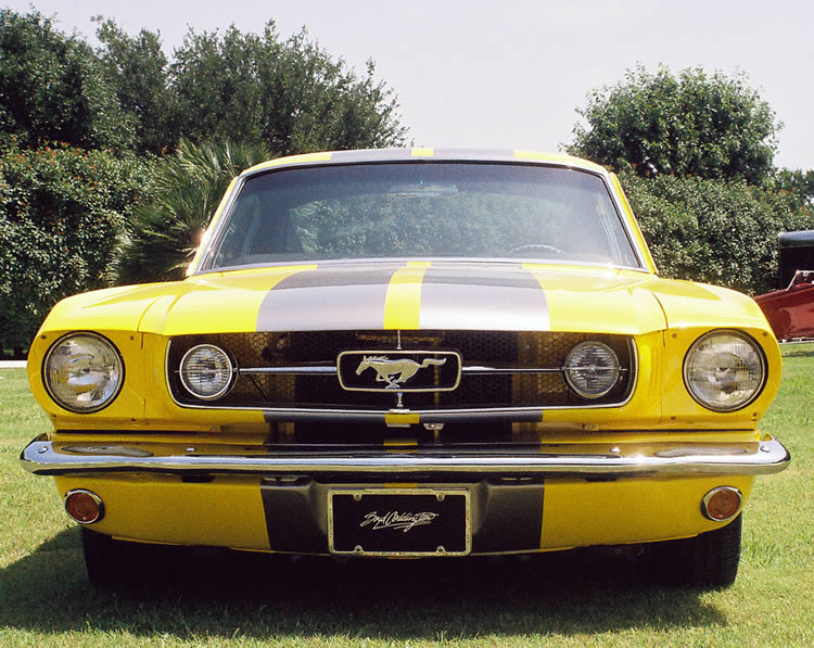 1965 Mustang GT Fastback Boyd Coddington front