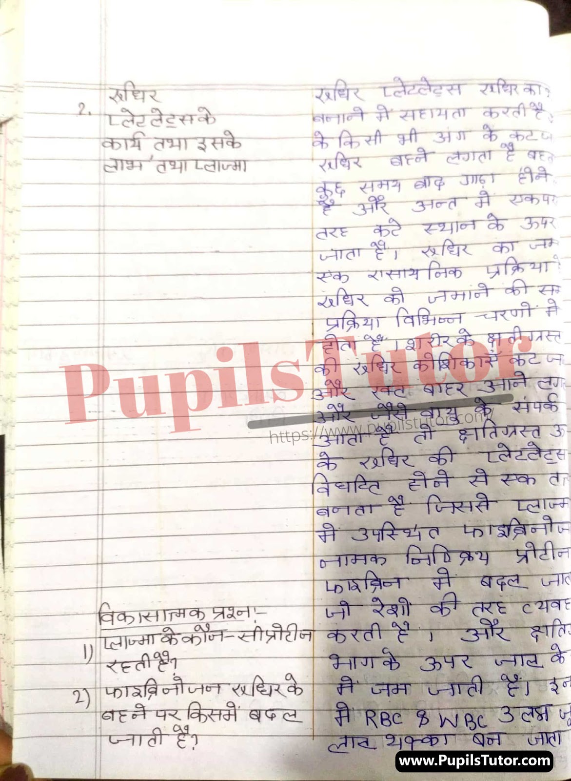 BED, DELED, BTC, BSTC, M.ED, DED And NIOS Teaching Of Biology Innovative Digital Lesson Plan Format In Hindi On Rudhir Platelets (Blood Platelets) Topic For Class 4th 5th 6th 7th 8th 9th, 10th, 11th, 12th | रुधिर प्लेटलेट्स टॉपिक पर टीचिंग ऑफ बायोलॉजी का डिजिटल लेसन प्लान फॉर्मेट हिंदी में कक्षा 4 5 वीं 6 वीं 7 वीं 8 वीं 9 वीं, 10 वीं, 11 वीं, 12 वीं के लिए  – [Page And Photo 4] – pupilstutor.com