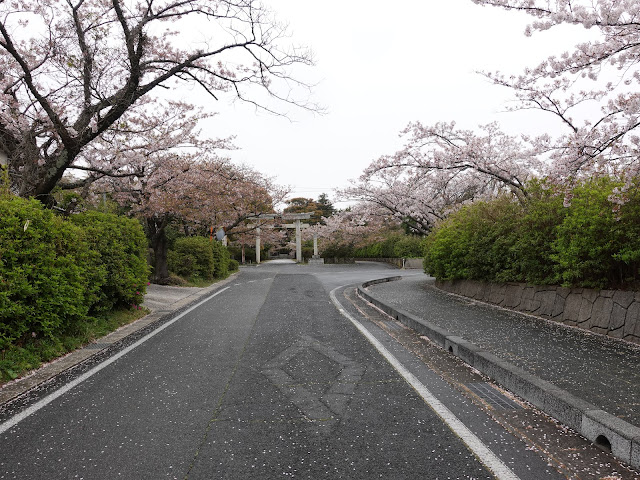 鳥取県西伯郡大山町名和　名和神社　参道