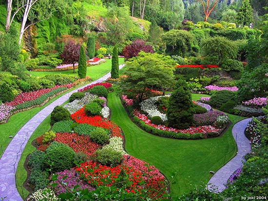 LINGKAR WARNA: Konsep taman rumah dengan taman penuh bunga