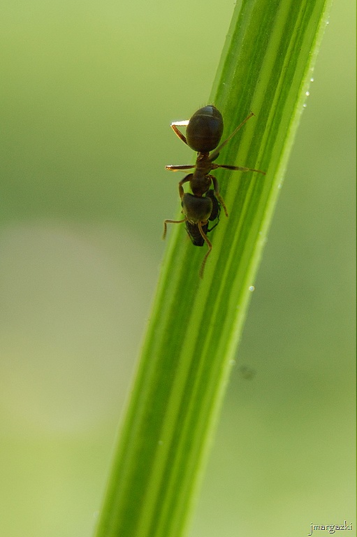 DSC_05910001