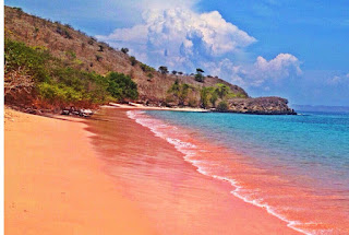 Pantai Pink di Pulau Padar