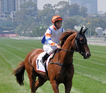 race 4_aspect 1 race 4_aspect 1