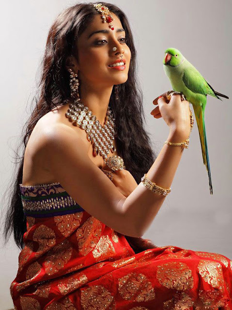 Shriya Saran latest  Photo Shoot