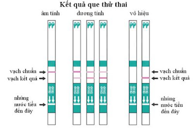 K?t qu? sau khi th? thai