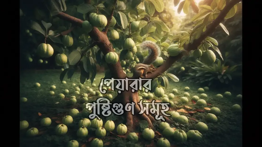 পেয়ারার-উপকারিতা-ও-অপকারিতা