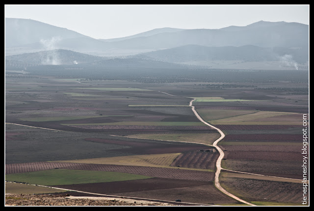 Campos Castilla