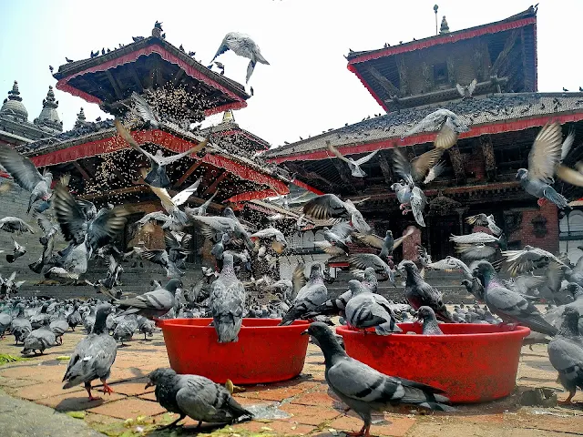 Visit Hindu Temple of Nepal