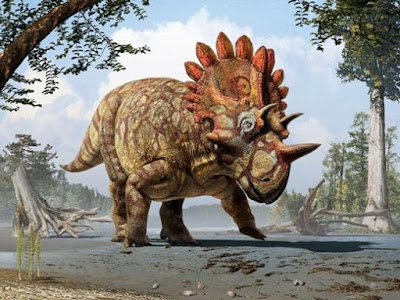 Ditemukan Hellboy Dinosaurus Bertanduk Jenis Baru