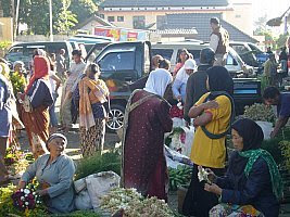 Pagi Hari di Pasar Bunga Bandungan