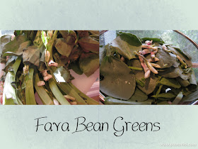 Fava Bean Greens 