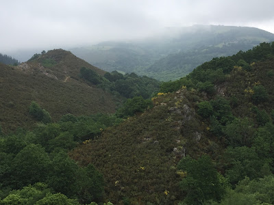 Spain, Marronda forest and the Eo River   by E.V.Pita (2015)  http://evpita.blogspot.com/2015/06/spain-marronda-forest-and-eo-river.html   Fraga de Marronda - río Eo (Baleira, Lugo)  por E.V.Pita (2015)