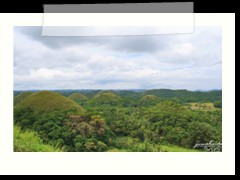 Chocolate Hills