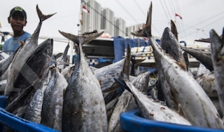 PENANGKAPAN IKAN DI ARAFURA DAN NATUNA