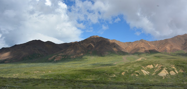 Denali National Park views