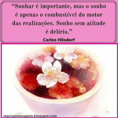 Frase de Carlos Hilsdorf