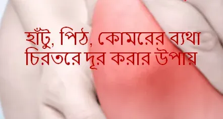 কোমর ব্যথা দূর করার ঘরোয়া উপায়,হাঁটু ও জয়েন্টের ব্যথা,হাঁটুর ব্যথা দূর করার উপায়,হাঁটু ও কোমরের ব্যথা দূর,কোমর ব্যথা দূর করার উপায়,বাতের ব্যথা দূর করার উপায়,কোমরের ব্যথা দূর,হাঁটু ব্যথায় ঘরোয়া প্রতিকার,হাঁটুর ব্যথা কমানোর উপায়,শরীরের ব্যথা দূর করার ঘরোয়া উপায়,ব্যথা দূর করার সহজ উপায়,হাঁটুর ব্যথা থেকে মুক্তির উপায়,পায়ে ব্যথা দূর করার ঘরোয়া উপায়,কোমরের যন্ত্রণা দূর করার উপায়,এক রাতে শরীরের ব্যথা দূর করার ঘরোয়া উপায়