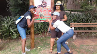 Team Building Johannesburg Zoo