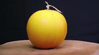 fruit around the world, strange fruit, strange fruit around the world, crazy fruit, crazy fruit around the world, GOLDEN MELON