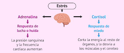 Esquema sobre lo que produce el estrés