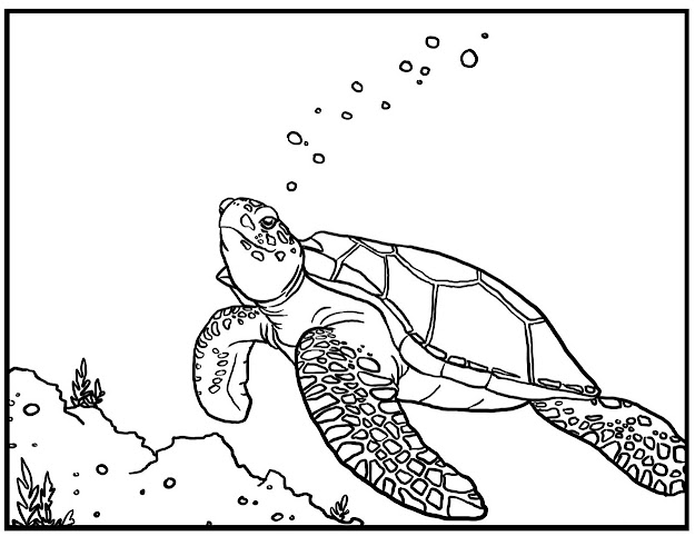 Free Printable Sea Turtle Coloring Pages For Kids In Sea Turtle Coloring  Pages
