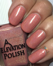 Elevation Polish SBP Saya de Malha