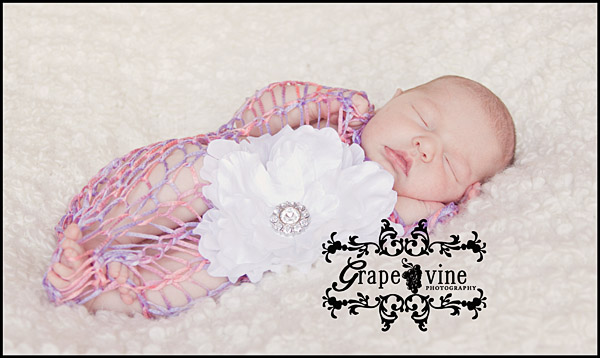 florida kissimmee newborn baby photographer