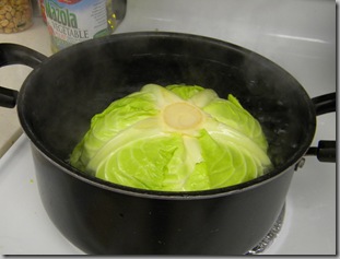 DSCN9509
