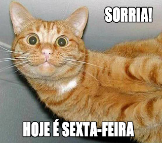 gato sorri por ser sexta-feira