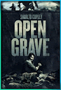 Open Grave (2013) online