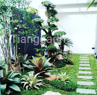 tukang taman surabaya dan jasa tukang taman tianggadha art