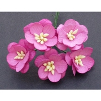 http://www.artimeno.pl/ozdoby/7463-wild-orchid-crafts-cherry-blossoms-kwiaty-wisni-deep-pink-5szt.html