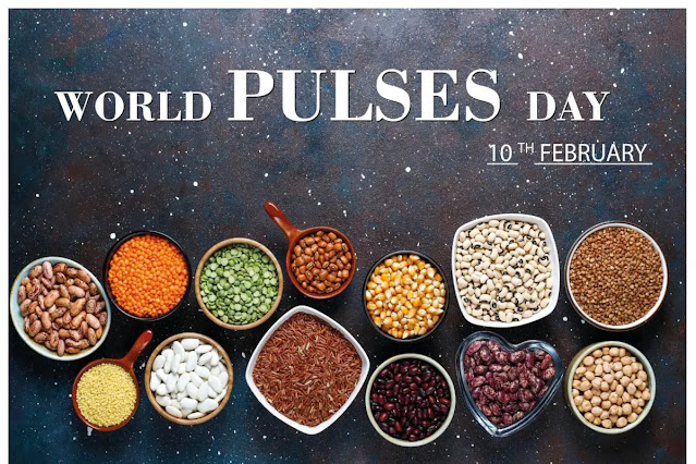 WORLD PULSES DAY 2024 - 10TH FEBRUARY | உலக பருப்பு தினம் 2024 - பிப்ரவரி 10