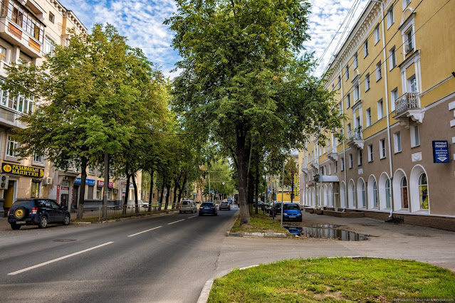 Улица среди зданий и высоких деревьев